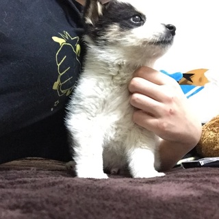 ありがとうございました꒰⑅•ᴗ•⑅꒱