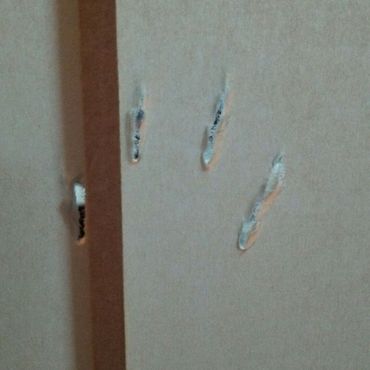 部屋から閉め出してたら、背伸びしてやりやがった(笑)約１ｍの高さ、大きくなったものだ。