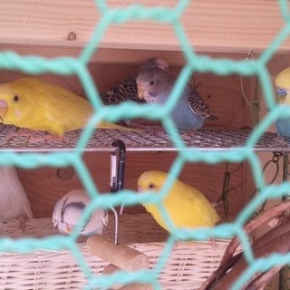 たくさんのご応募ありがとうございました。