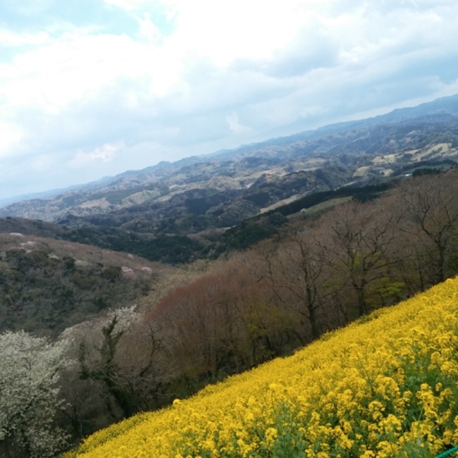 ぐりんぴぃすのカバー写真