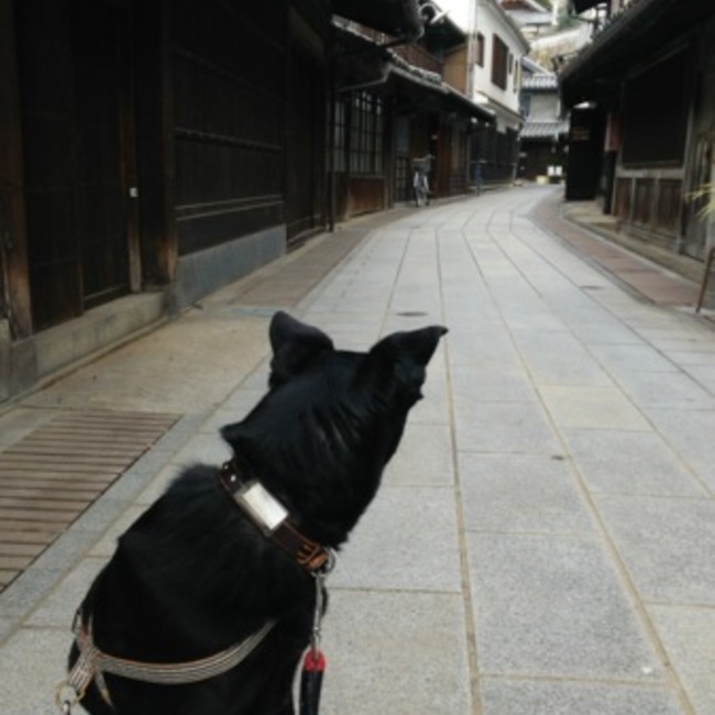 kokuboのカバー写真