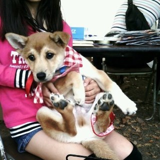 ３～４ヵ月のかわいい男の子