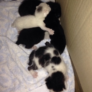 一旦募集をストップさせていただきます