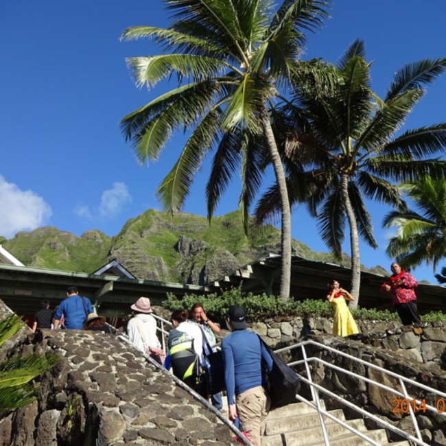れん2014のカバー写真