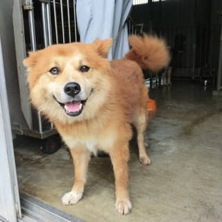 この子の命を救ってください。