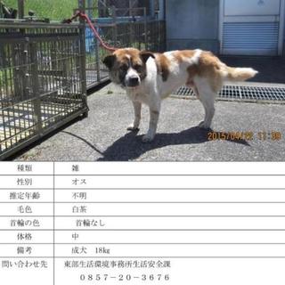 里親様決まりました