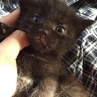 お願いします！助けて下さい