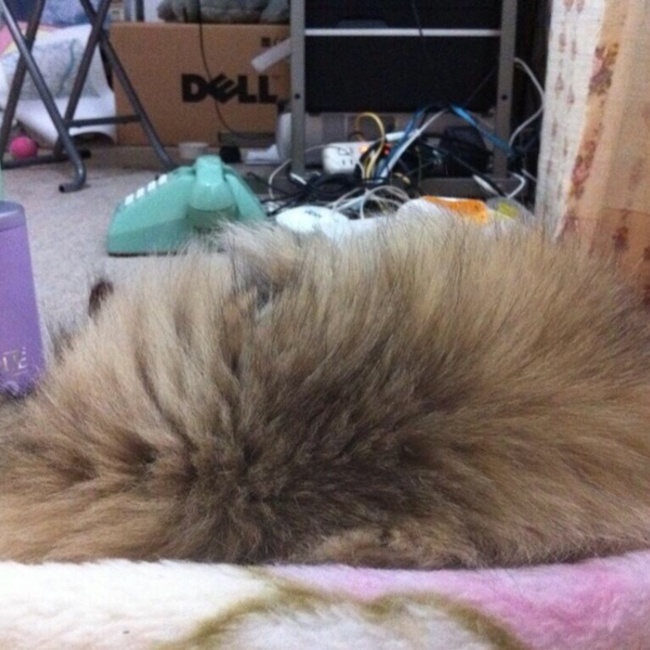 marikaのカバー写真