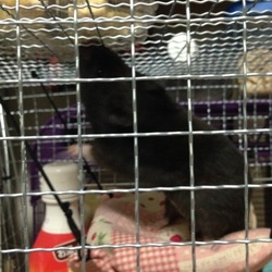 食い意地が・・・・