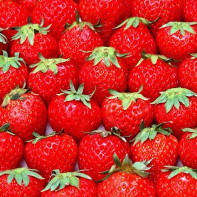 癒愛那のカバー写真