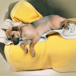 なかなかご縁がありません。。ご縁がありますように！