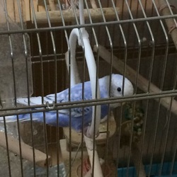 「撮らせてくれない」サムネイル2