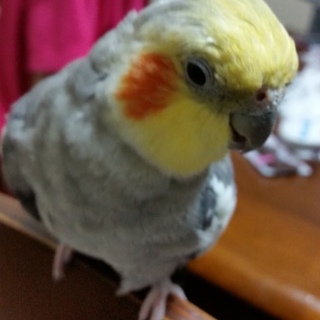 沢山のご応募ありがとうございました。