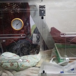 がんばっています！