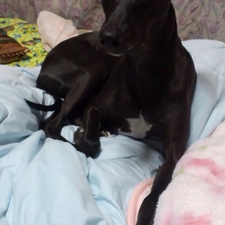 募集終了。新規投稿した方に応募してください。