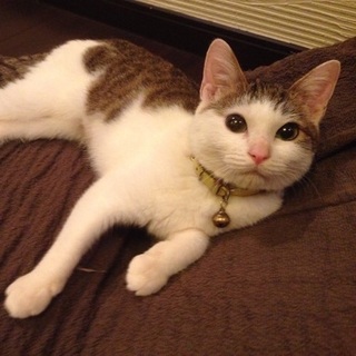 ちっこいクーちゃん