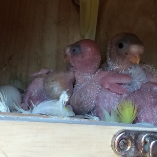 多数のご応募ありがとうございました。