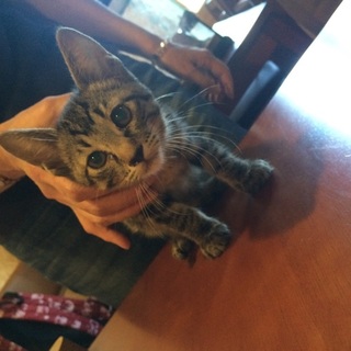 ２月２８日生まれの女の子