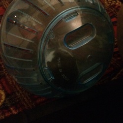 「無敵w」サムネイル1