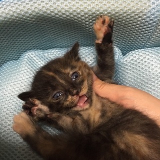 友達の代わりに投稿してます！