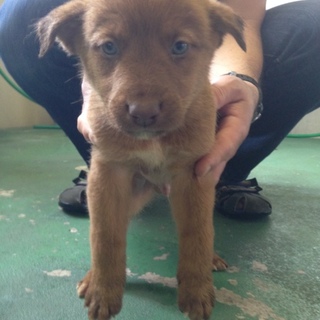 それぞれ家族ができました！！