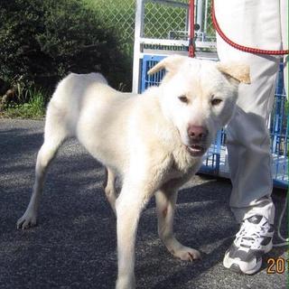 保護施設アミティエに行きました。