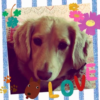 素敵な里親様が見つかりました‼︎