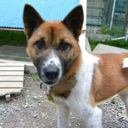 かよちゃんも人に馴れて来ました