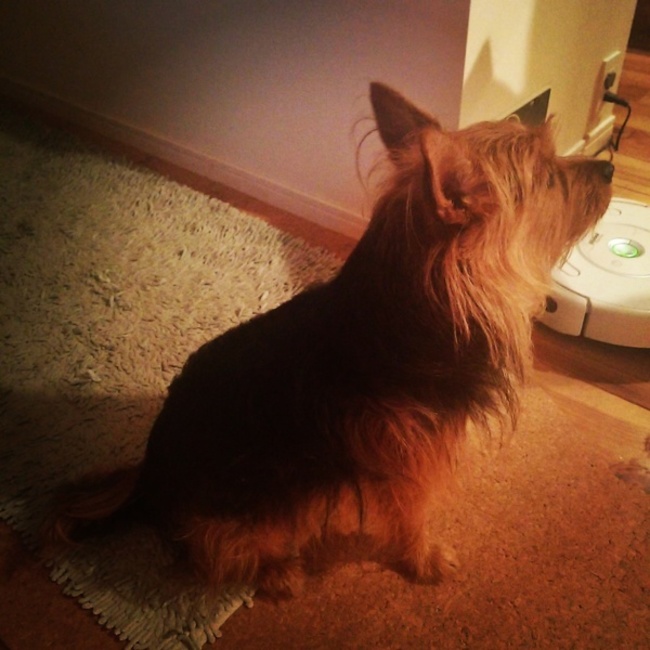 かろらのカバー写真