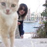 ねことひるね さん