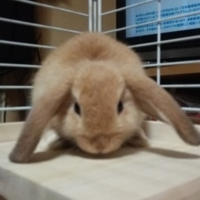 junnxxxのカバー写真