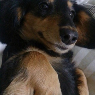 沢山のご応募ありがとうございました！