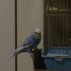 「撮ったぞぉ〜」サムネイル1