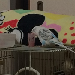 「撮ったぞぉ〜」サムネイル2