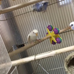 「撮ったぞぉ〜」サムネイル3