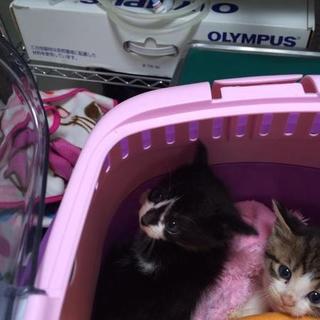 一旦停止致します