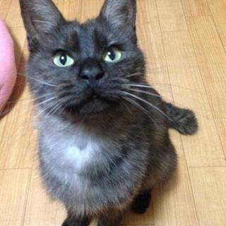 めちゃ甘えん坊☆でぃれい君2～3歳