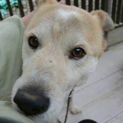 ジャックのこと