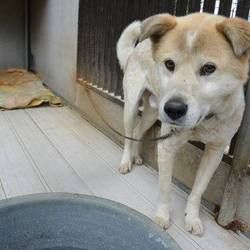 「ジャックのこと」サムネイル2