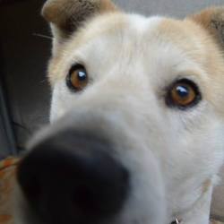 「ジャックのこと」サムネイル3