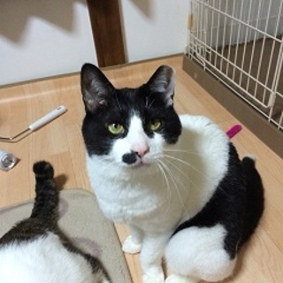 せんたく豆☆怖がりなんです