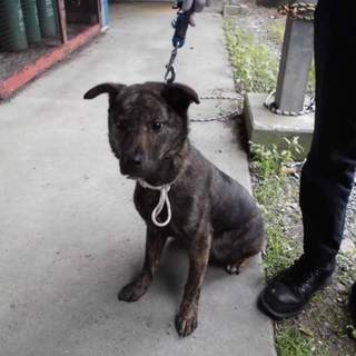 この子の命を救ってください。