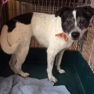 この子の命を救ってください。