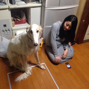 お姉と。おまえら何か似てるという理由で、パパに撮られた。