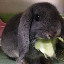 「5日たって」サムネイル1