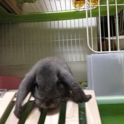 「5日たって」サムネイル2