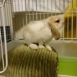 「5日たって」サムネイル3