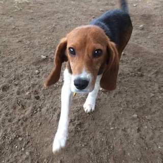 この子の命を救ってください。