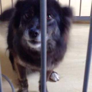 この子の命を救ってください。