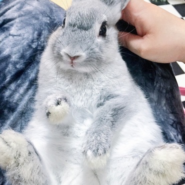 爪切り中